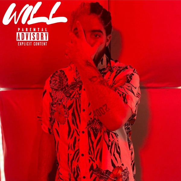 WILL (feat. 2flowJay)