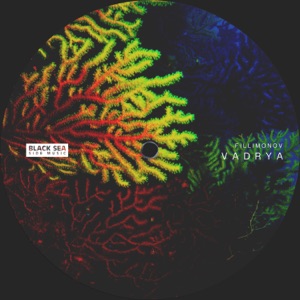 Vadrya - Single