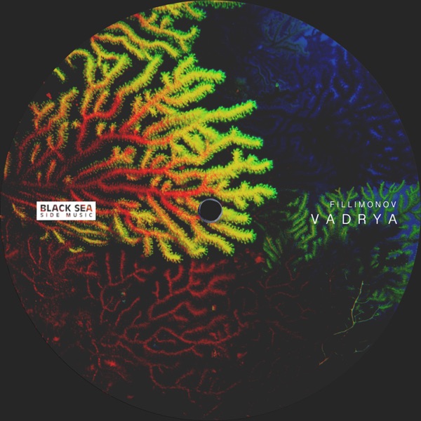 Vadrya - Single