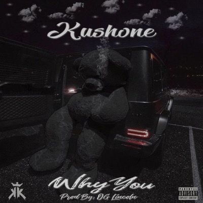 Why You (feat. OG Lincoln) - Single