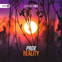 Reality - Single - PRDX