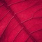 Texture - lumeThaBaker lyrics