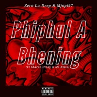 Phiphul a Bhening (feat. Mjopi97, Sharon, O'nay & Mr Klate) - Single - Zero La Deep