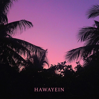 Hawayein - Single