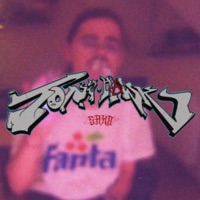 Tony Hawk - Single - sako