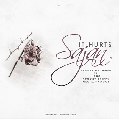 It Hurts Sajan (feat. Apoorv Trippy, Megha Rawoot & KOKO) - Single