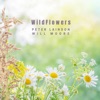 Wildflowers - Single