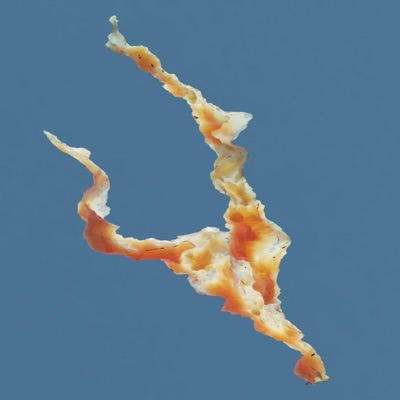 COMMUNICATION (feat. Gregor McMurray) - Single