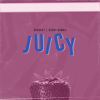 Juicy - Single - Horscht & Harry Hawaii