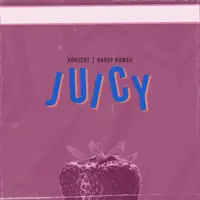 Juicy — Horscht & Harry Hawaii