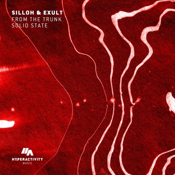 From the Trunk / Solid State - Single