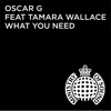 What You Need (feat. Tamara Wallace) [Denney Remix]