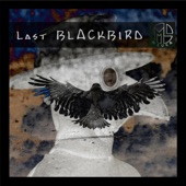 Last BLACKBIRD artwork