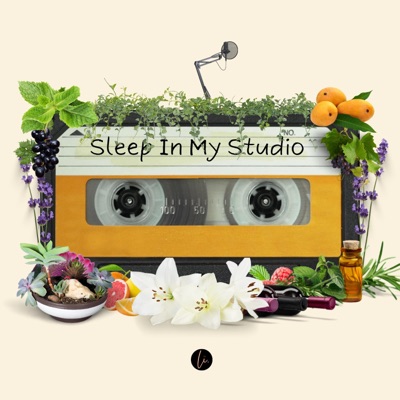 Sleep In My Studio - Single