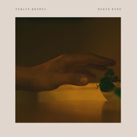 North Wind - Single - Tomasz Mreńca