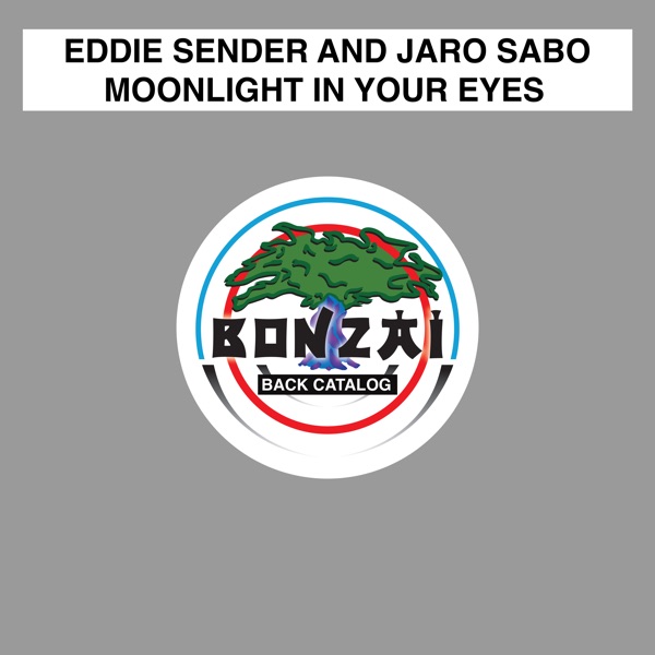 Moonlight in Your Eyes