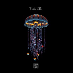 Second Chances - Single