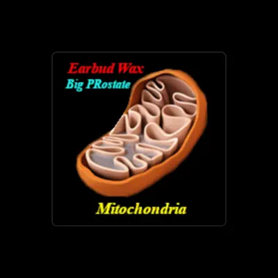 Listen to Earbud Wax, watch music videos, read bio, see tour dates & more!