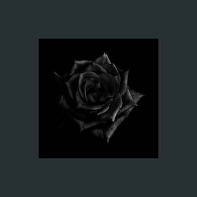 Run It Back - Single