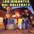 Un Solo Corazón