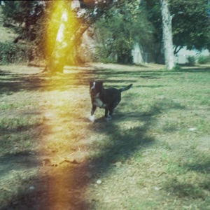 Judy - Single