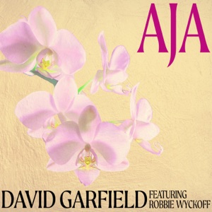 Aja (feat. Robbie Wyckoff) - Single