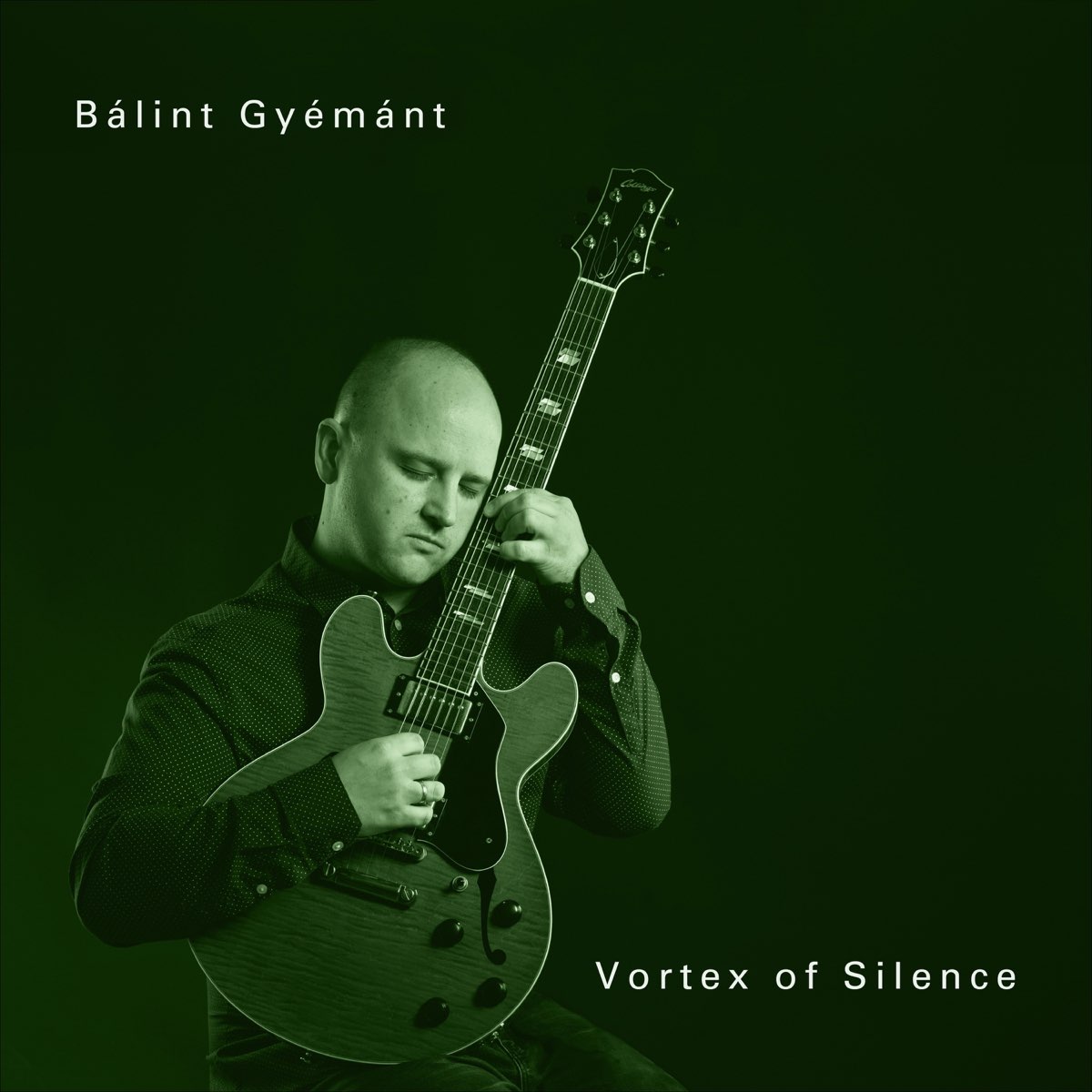 Vortex Of Silence - Single - Album by Bálint Gyémánt - Apple Music