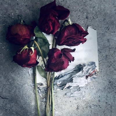 Dead Roses - Single