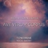 Ave Verum Corpus (Live) - Single