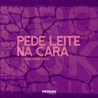 Pede Leite Na Cara - Single - DJ DJC Original & MC ZL