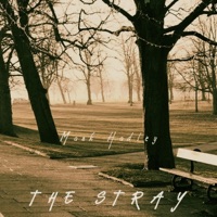 The Stray - Single - Mark Hadley