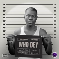 Who Dey - Single - Meekyfrosh