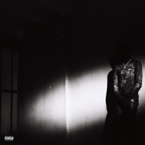 NO STYLIST by Destroy Lonely
