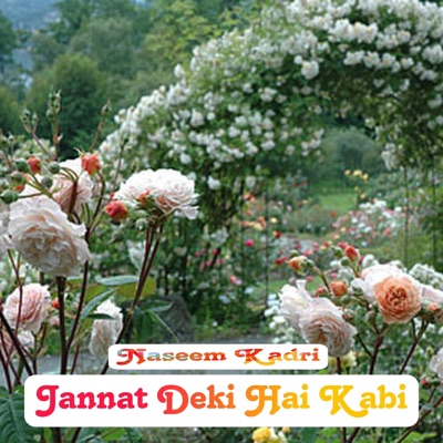 Sahir Khan Mewati - Jannat Deki Hai Kabi