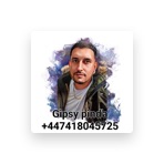 Gipsy pinďa