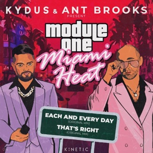 Module 1: Miami Heat - Single