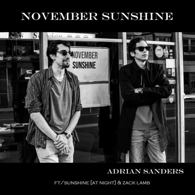 November Sunshine (feat. Sunshine [at Night] & Zack Lamb) - Single