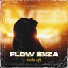 Flow Ibiza - Single