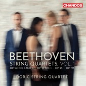 String Quartet in B-Flat Major, Op. 18 No. 6: I. Allegro con brio artwork