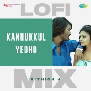 Kannukkul Yedho (Lofi Mix)