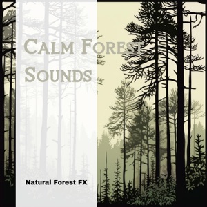 Calm Forest Sounds