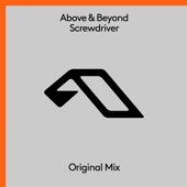 Screwdriver (Extended Mix) artwork