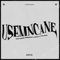 Usemcane (feat. TallexQ & Mob-Shot Trikka) - Single - ETK