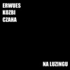 Na luzingu - Single