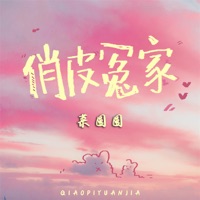 俏皮冤家 - Single - 菜圆圆