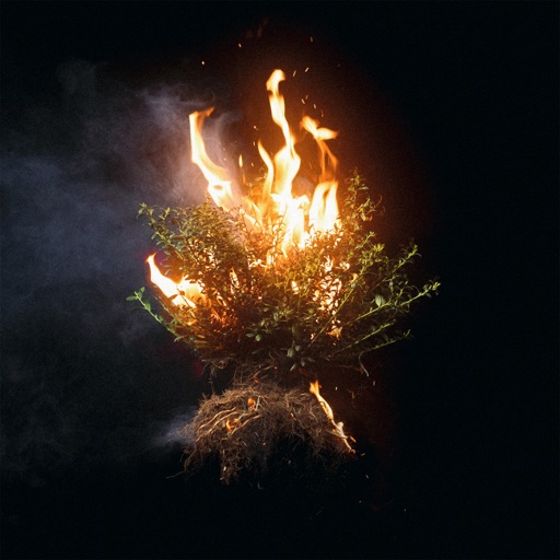 Album artwork