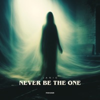Never Be the One - Single - Janic