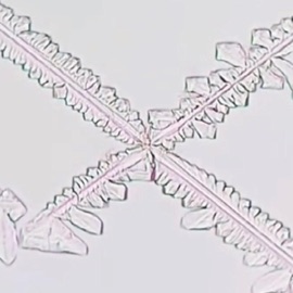 Headbangin To Nanoe Biroe (Intro) Adityas