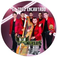 Te Metiste — Ángeles Del Arpa