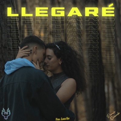 Llegaré - Single